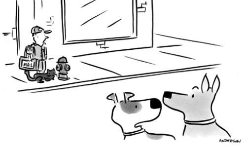 Simon Maria T DVM Hollins