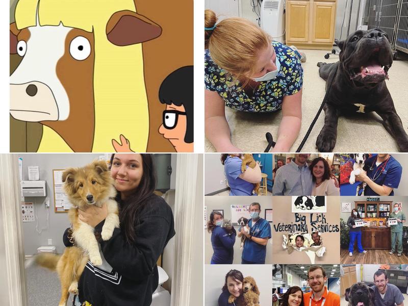 Big Lick Veterinary Services