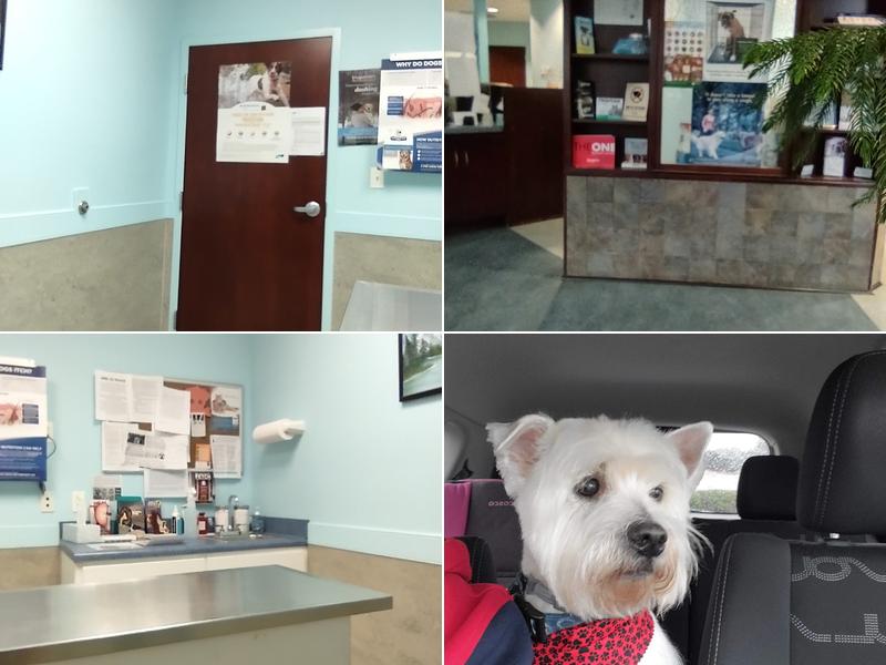 Gentle Care Animal Hospital