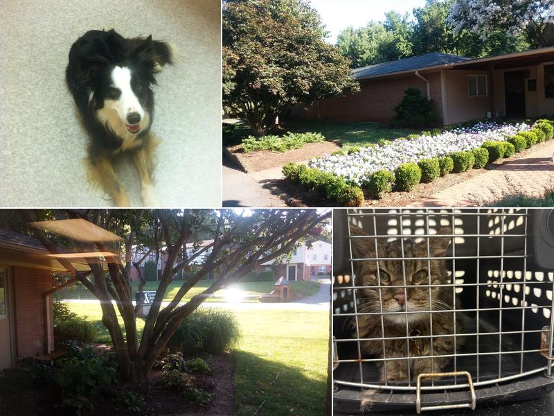 Georgetown Veterinary Hospital