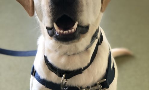 Animal Wellness Center Crozet