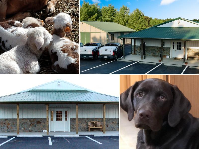 Appalachian Veterinary Services, Inc.