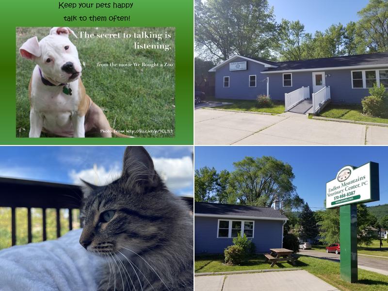 Endless Mountains Veterinary Center, PC