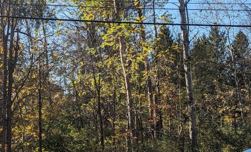 Fountain House Veterinary Clinic. Alan Tausz DVM Brooktondale