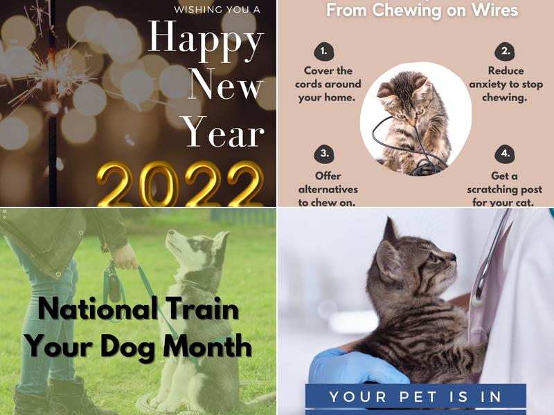 Kiel Veterinary Clinic: Baemmert David DVM