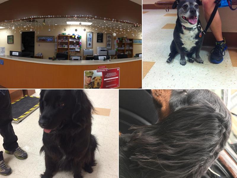 St Paul Veterinary Clinic: Sower Philip DVM