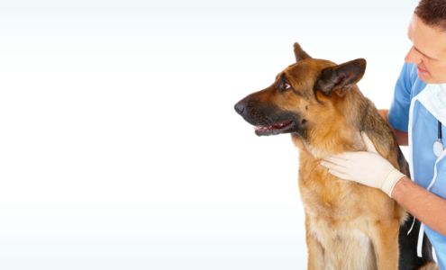 St. Paul Veterinary Clinic