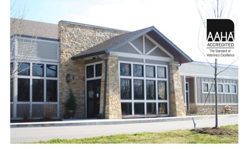 Village Veterinary Medical Center, A Thrive Pet Healthcare Partner