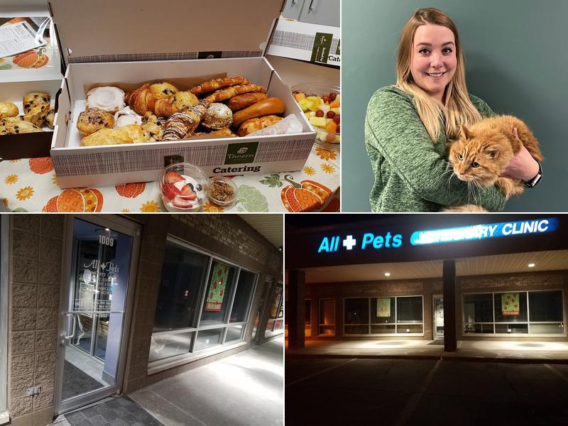 All for Pets Veterinary Clinic