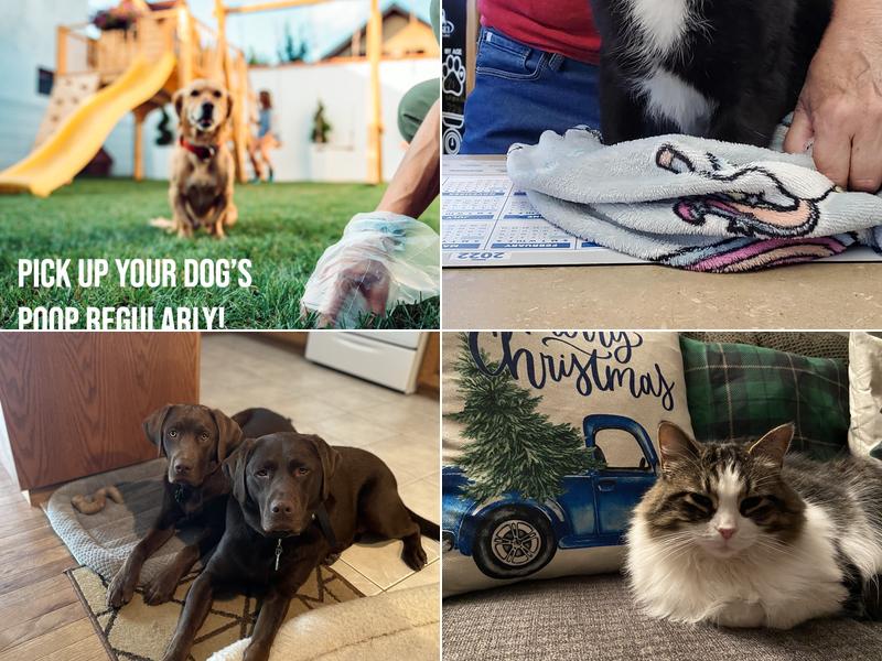 Pulaski Veterinary Clinic - Pulaski, Wisconsin