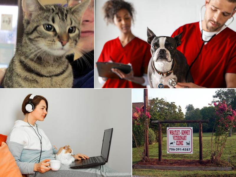 Whatley- Kinney Veterinary Clinic