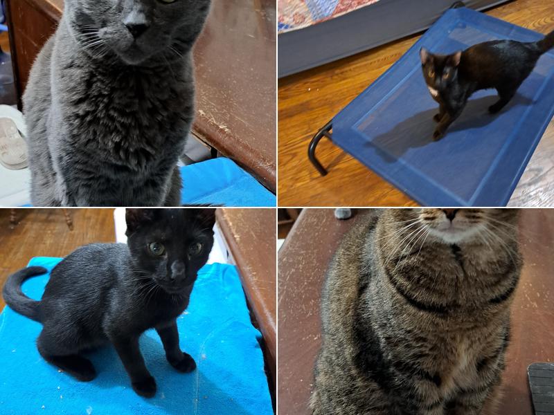 Possum Trot Veterinary Clinic