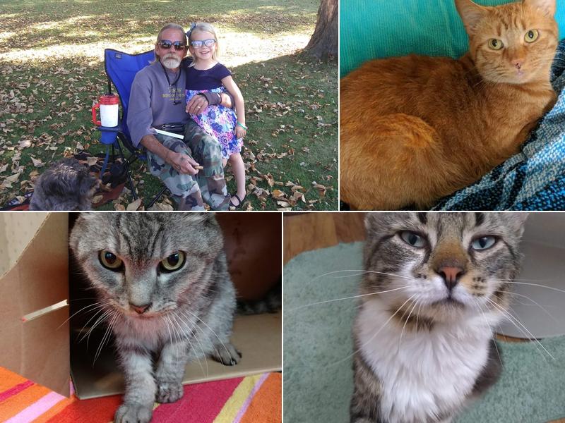 Steuben Veterinary Clinic