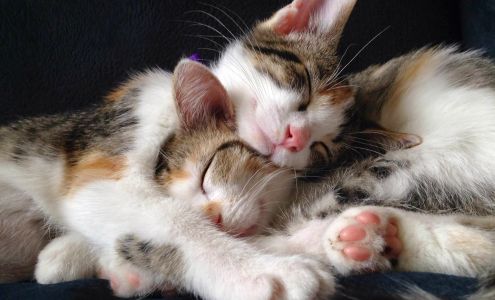 West Salem Veterinary Clinic