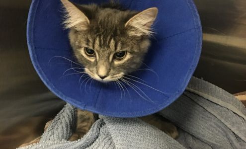 Countryside Veterinary Clinic