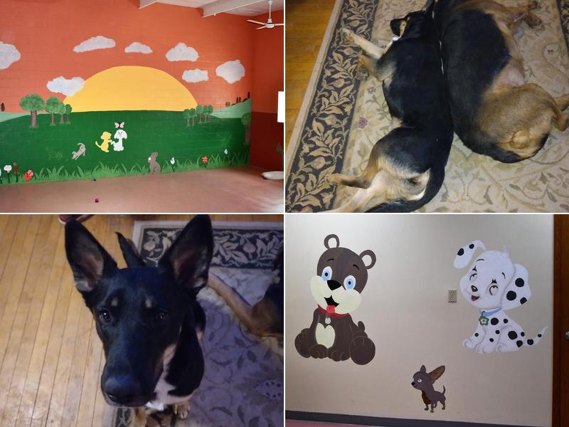 West Burleigh Veterinary Clinic: Kaiser Vickie DVM