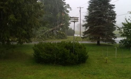 Roaring Brook Veterinary Lowville