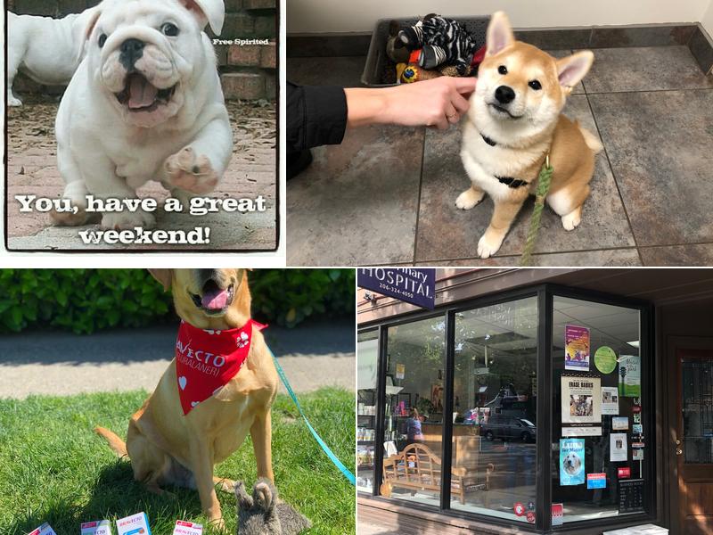 Madison Park Veterinary Hospital