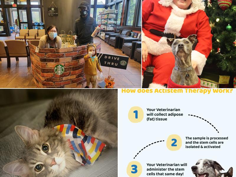 Village Veterinary Clinic: Smith Allison DVM