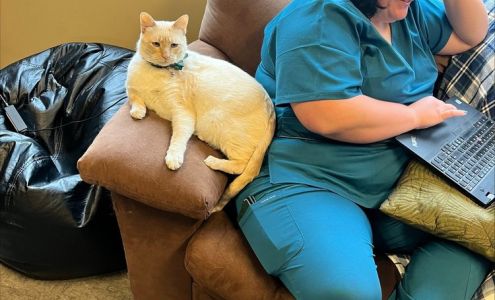 Village Veterinary Clinic: Smith Allison DVM