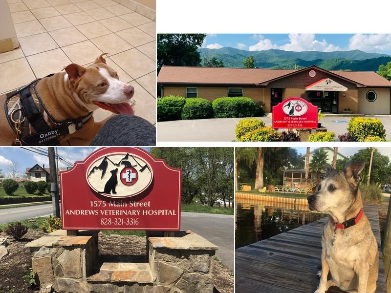 Andrews Veterinary Hospital