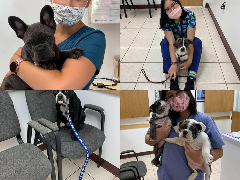 Eagle's Nest Veterinary Hospital