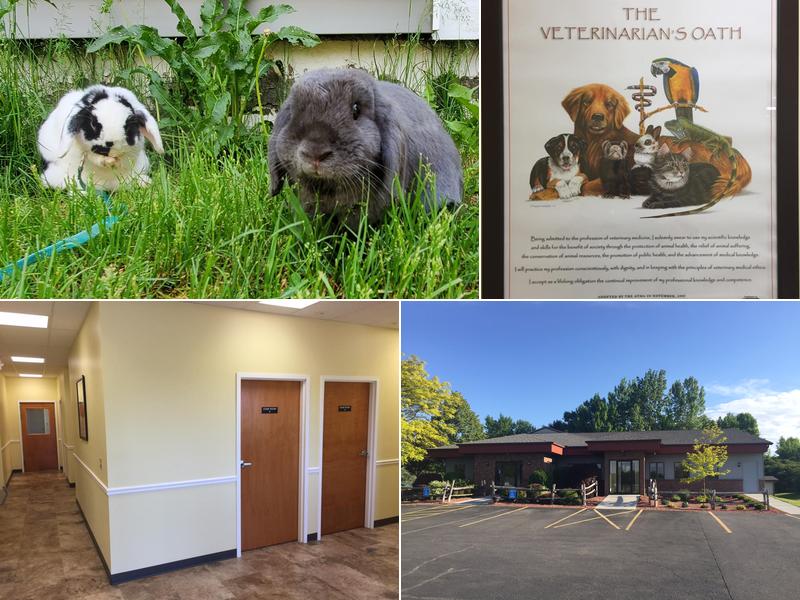 Palmer Veterinary Clinic