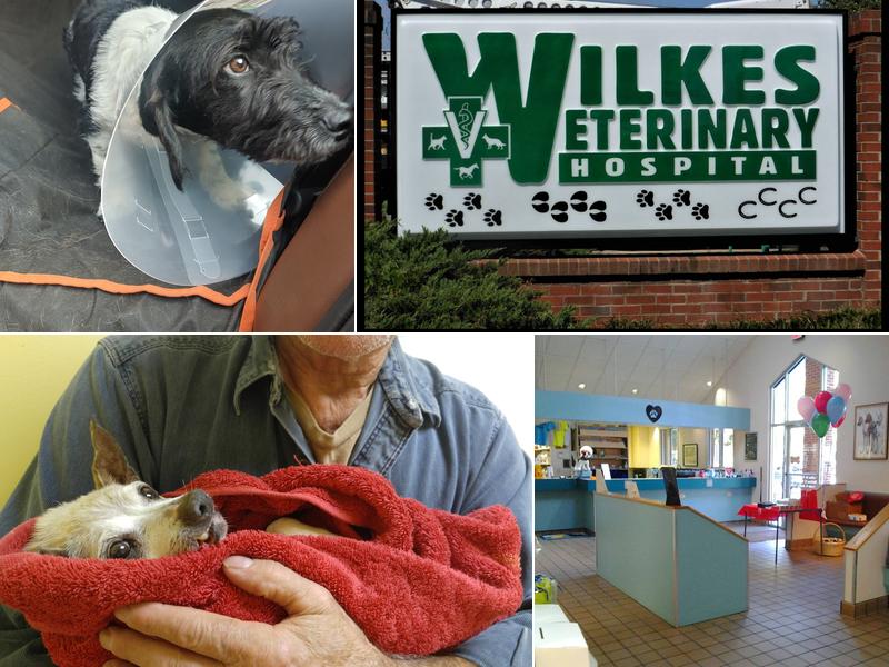 Wilkes Veterinary Hospital