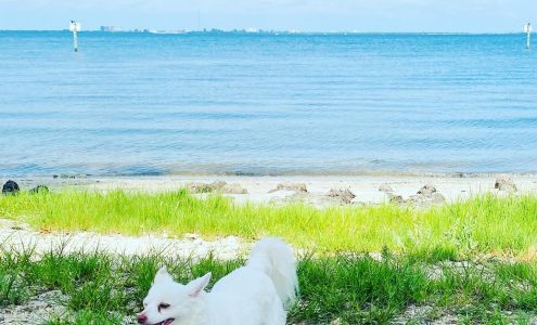 Schroon River Animal Hospital