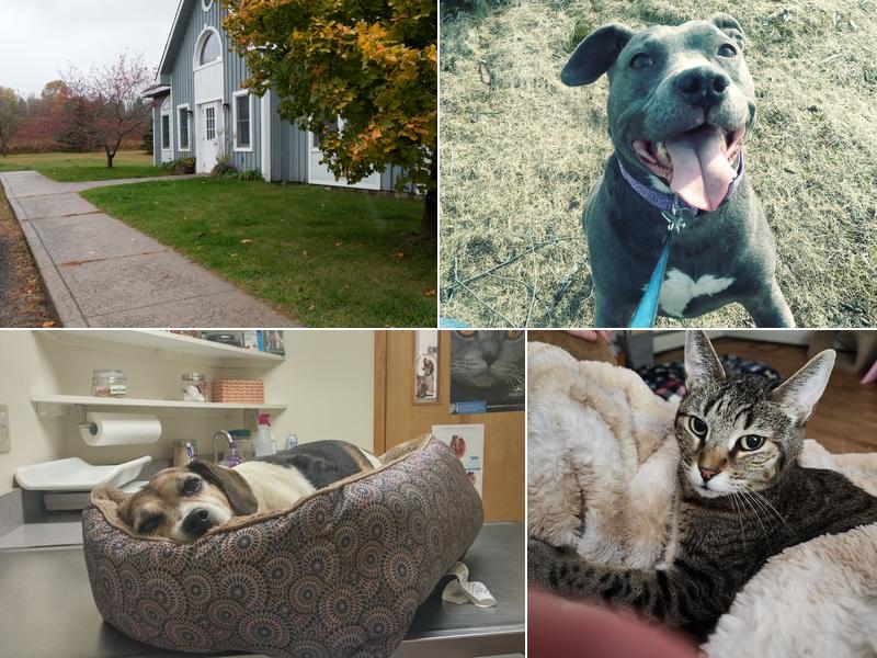 Cooperstown Veterinary Associates