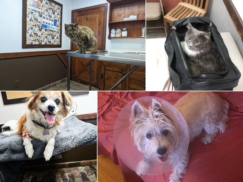 Sherman Oaks Veterinary Group