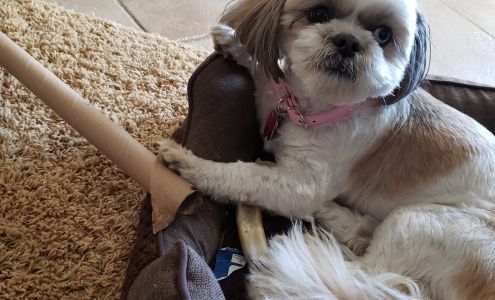 Colina Veterinary Hospital