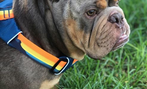 Sunset Cliffs Animal Hospital