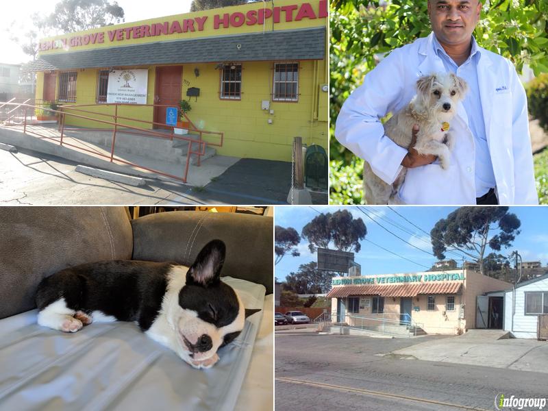 Lemon Grove Veterinary Hospital