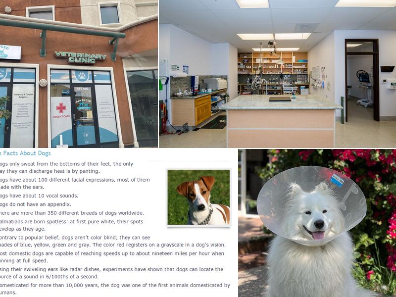 Advanced Veterinary Medical Center