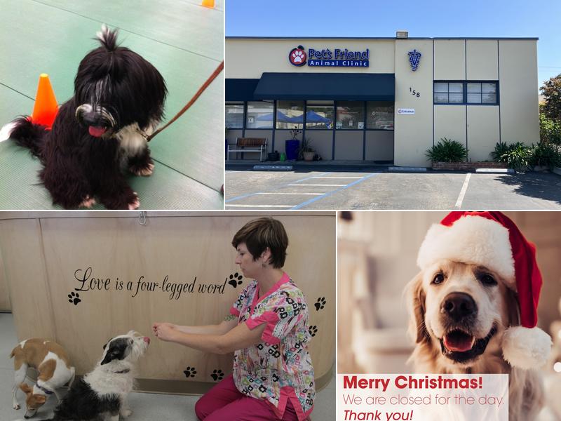 Pet's Friend Animal Clinic