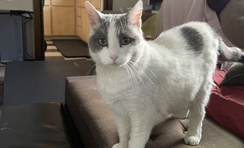 East Bay SPCA Oakland Adoption Center