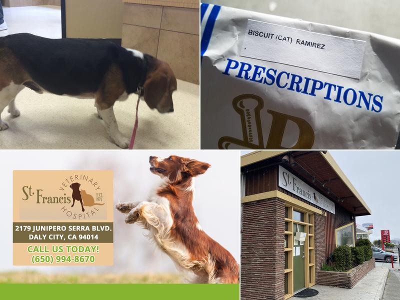 St. Francis Veterinary Hospital