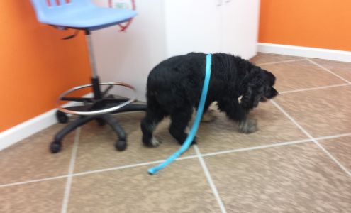 Greer Tony DVM Afton