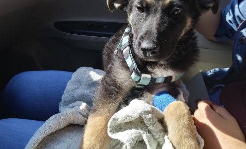 Cedar Veterinary Hospital