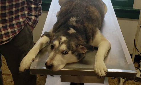 Kings Canyon Veterinary Foundation 501(c)3