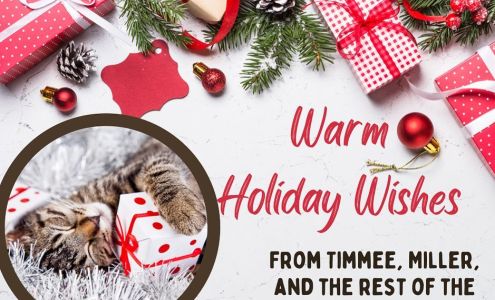 River City Cat Clinic: Lara Anita DVM