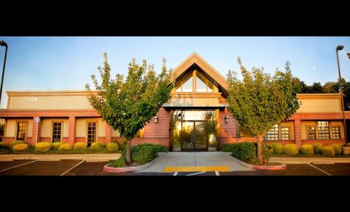 Vista Veterinary Specialists