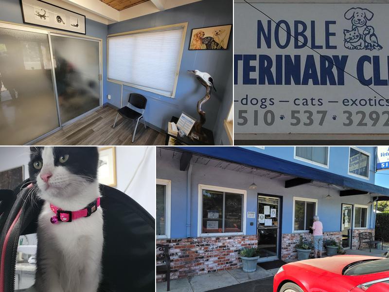 Noble Veterinary Clinic