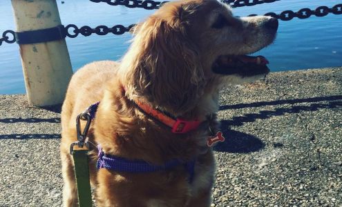 Dr. Eleanor Dunn, DVM