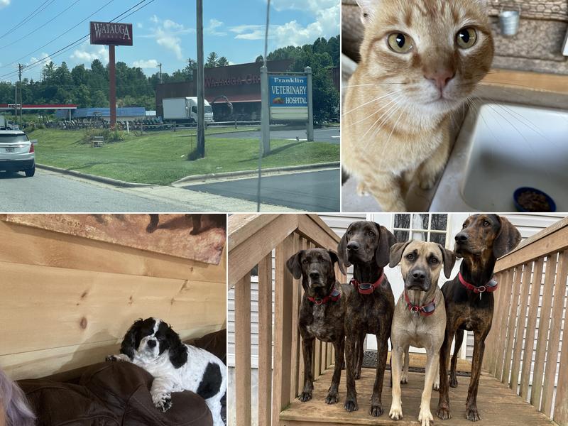 Franklin Veterinary Hospital, PA