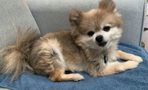 Southwest Veterinary Hospital