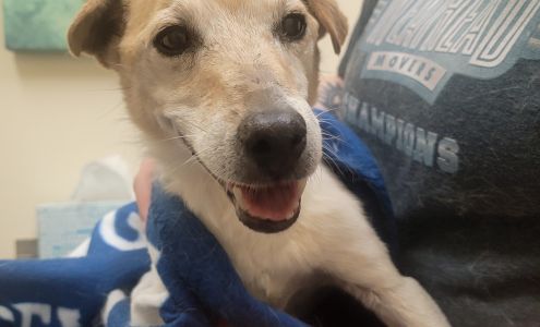 Allen Road Pet Hospital