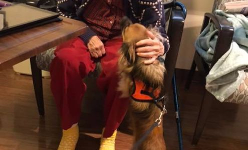 Mast Mobile Pet Care & Acupuncture Franklin