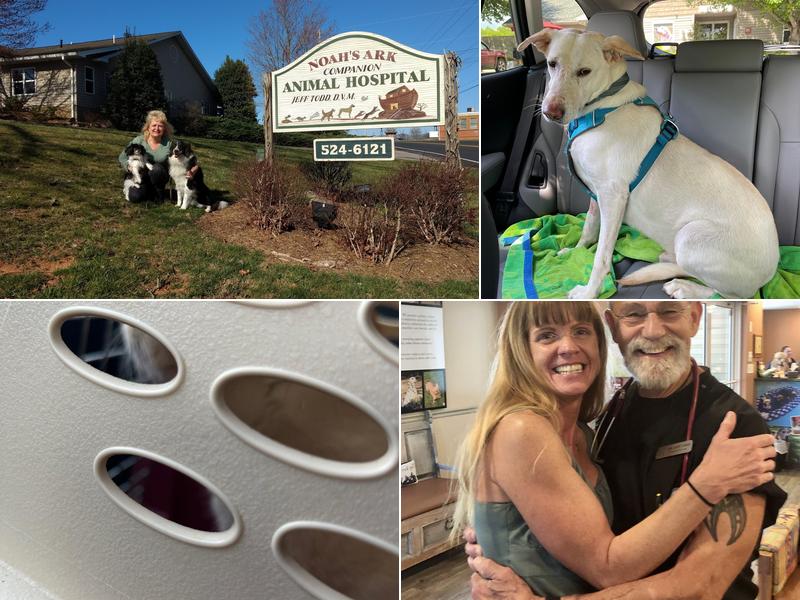 Noah's Ark Companion Animal: Todd Thomas DVM